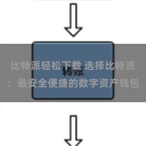 比特派轻松下载 选择比特派：最安全便捷的数字资产钱包