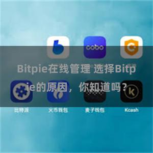 Bitpie在线管理 选择Bitpie的原因，你知道吗？