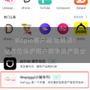 Bitpie客户端 比特派：全方位保护用户数字资产安全