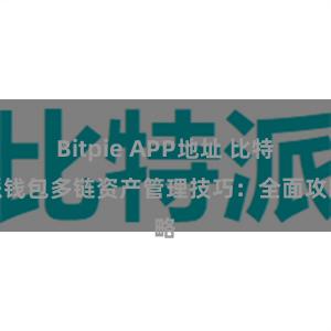 Bitpie APP地址 比特派钱包多链资产管理技巧：全面攻略