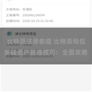 比特派注册教程 比特派钱包多链资产管理技巧：全面攻略