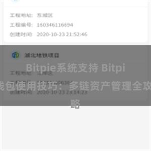 Bitpie系统支持 Bitpie钱包使用技巧：多链资产管理全攻略