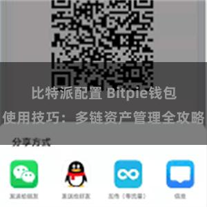 比特派配置 Bitpie钱包使用技巧：多链资产管理全攻略