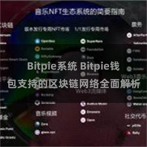 Bitpie系统 Bitpie钱包支持的区块链网络全面解析