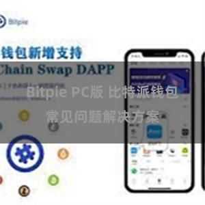 Bitpie PC版 比特派钱包常见问题解决方案