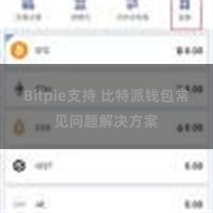 Bitpie支持 比特派钱包常见问题解决方案