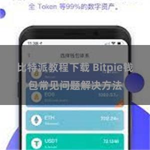 比特派教程下载 Bitpie钱包常见问题解决方法