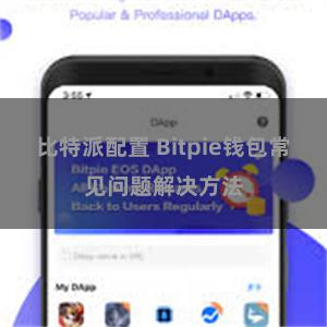 比特派配置 Bitpie钱包常见问题解决方法