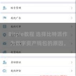 Bitpie教程 选择比特派作为数字资产钱包的原因。