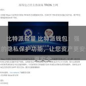 比特派轻量 比特派钱包：强大的隐私保护功能，让您资产更安全