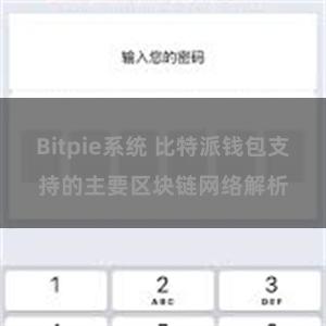 Bitpie系统 比特派钱包支持的主要区块链网络解析