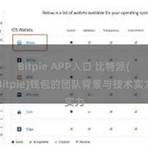 Bitpie APP入口 比特派(Bitpie)钱包的团队背景与技术实力