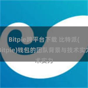 Bitpie跨平台下载 比特派(Bitpie)钱包的团队背景与技术实力