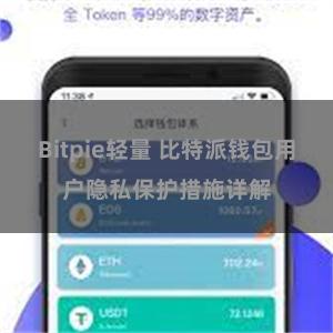 Bitpie轻量 比特派钱包用户隐私保护措施详解