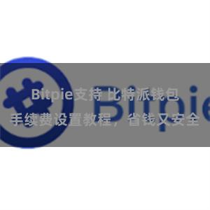 Bitpie支持 比特派钱包手续费设置教程，省钱又安全