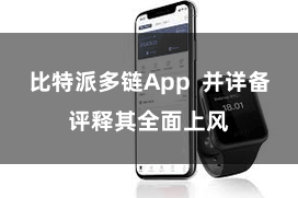 比特派多链App  并详备评释其全面上风